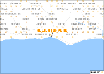 map of Alligator Pond