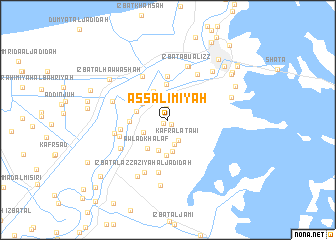 map of As Sālimīyah