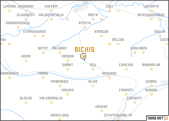 map of Bichiş