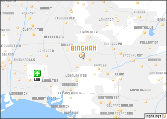 map of Bingham