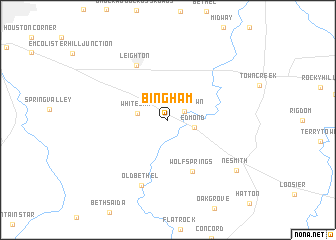 map of Bingham