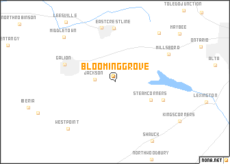 map of Blooming Grove