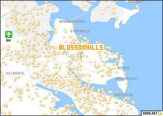 map of Blossom Hills