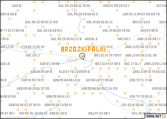 map of Brzózki Falki