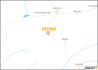 map of Cayuga