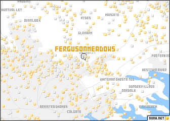 map of Ferguson Meadows