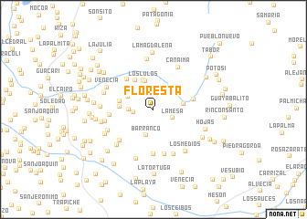 map of Floresta