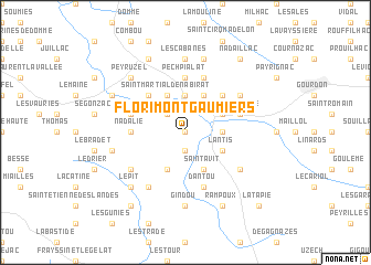map of Florimont-Gaumiers