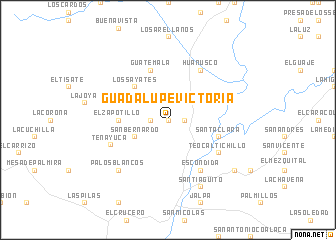 map of Guadalupe Victoria