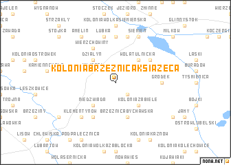map of Kolonia Brzeżnica Książęca
