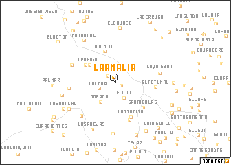 map of La Amalia