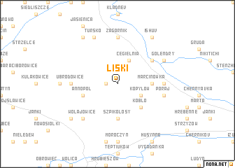 map of Liski