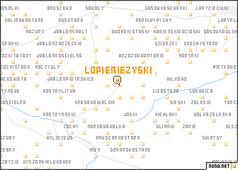 map of Łopienie Zyski