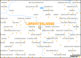 map of Łopienite Śliwowo