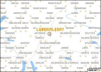 map of Lubomin Leśny