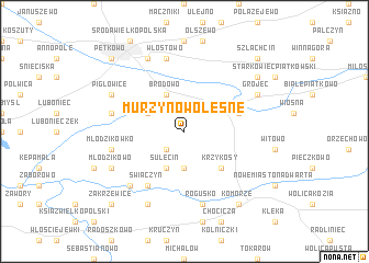 map of Murzynowo Leśne