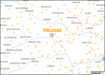 map of P\