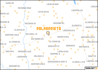 map of Palma Prieta