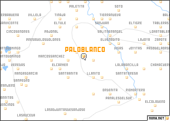 map of Palo Blanco