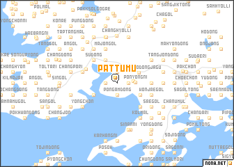 map of Pattumu