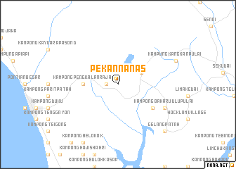 map of Pekan Nanas