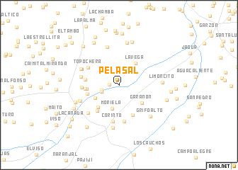 map of Pelasal