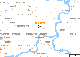map of Pelayo