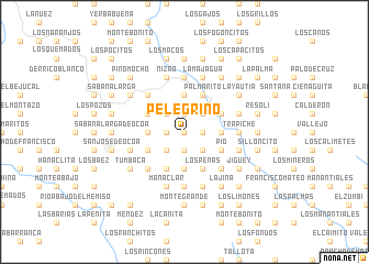 map of Pelegrino