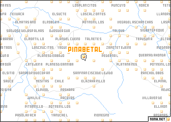 map of Pinabetal