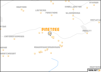 map of Pine Tree