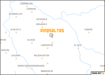 map of Pinos Altos