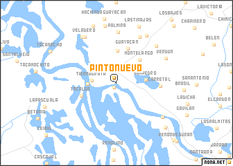 map of Pinto Nuevo