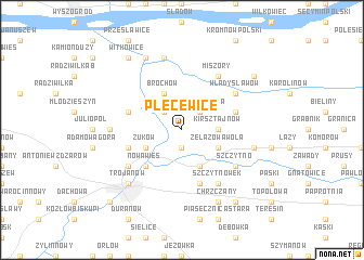 map of Plecewice