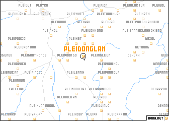 map of Plei Dông Lâm