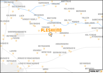 map of Pleshkino