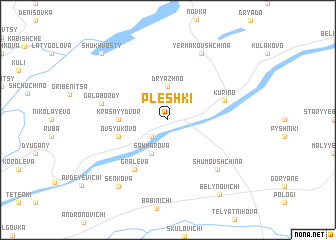 map of Pleshki