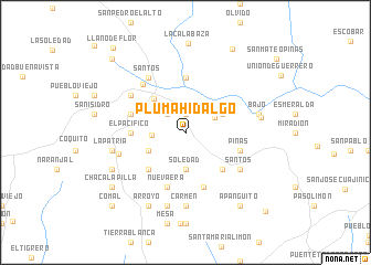 map of Pluma Hidalgo