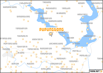 map of Pup\