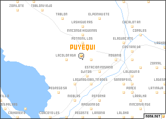 map of Puyequi