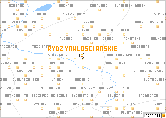 map of Rydzyn Włościańskie