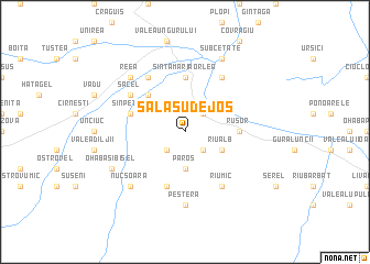 map of Sălaşu de Jos