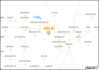 map of Salei