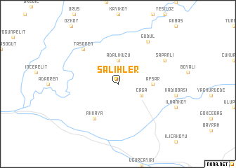 map of Salihler