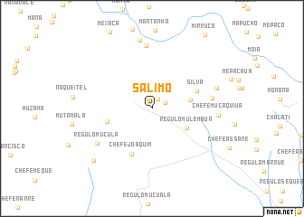 map of Salimo