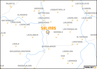 map of Salinas
