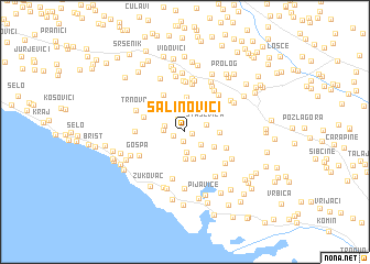 map of Šalinovići