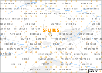 map of Salinus