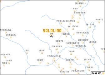 map of Salolina