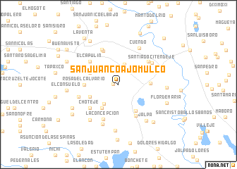 map of San Juan Coajomulco