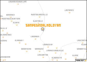 map of San Pedro Almoloyan